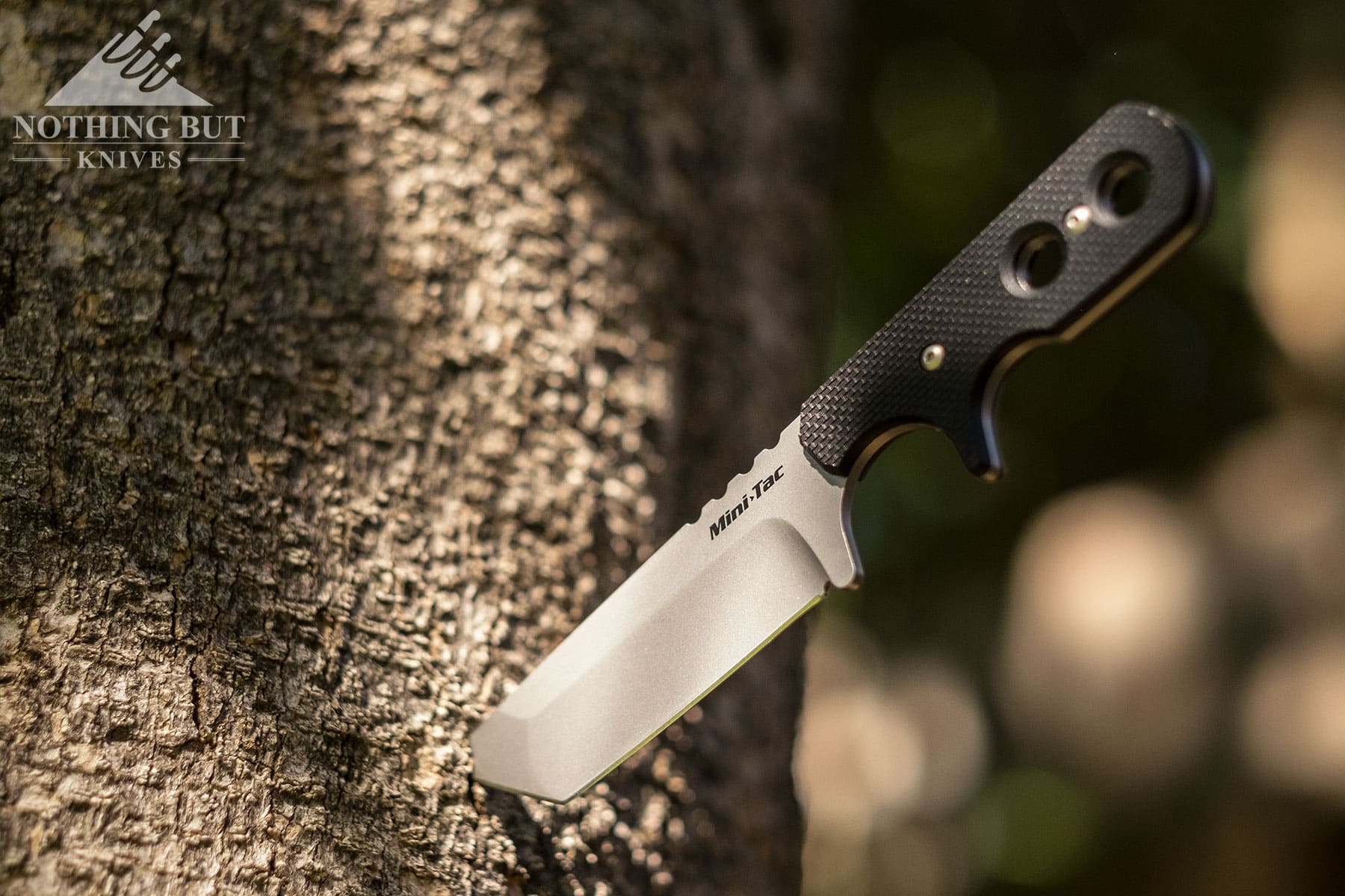 The Cold Steel Mini Tac compact fixed blade knife with its blade tip stuck in a tree.