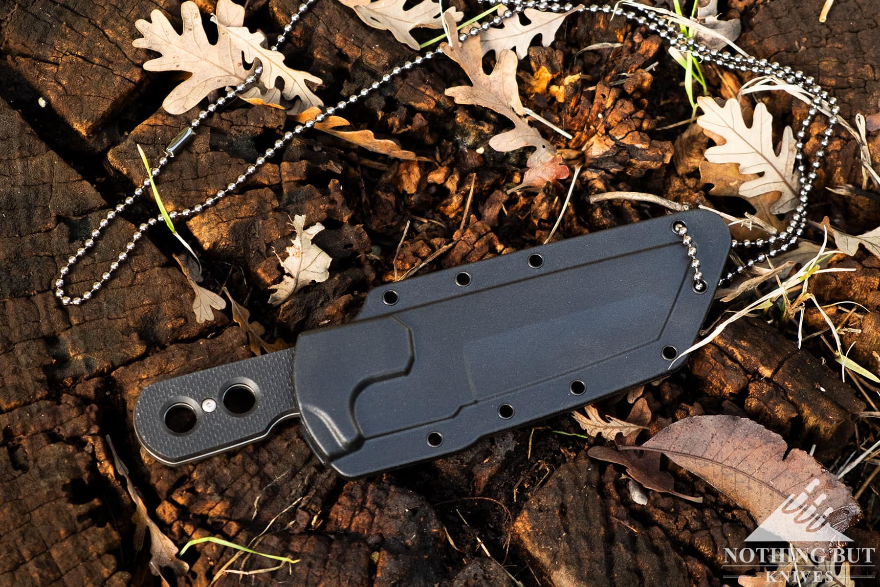 An overhead view of the Cold Steel Mini Tac knife inside its sheath on a tree stump.