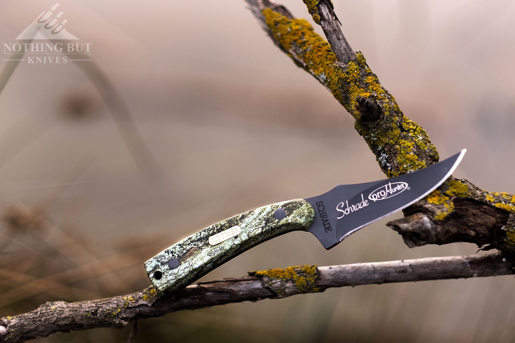 The budget version of the Old Timer Sharpfinger EDC fixed blade knife balanced on a tree branch in front of a foggy wetlands.