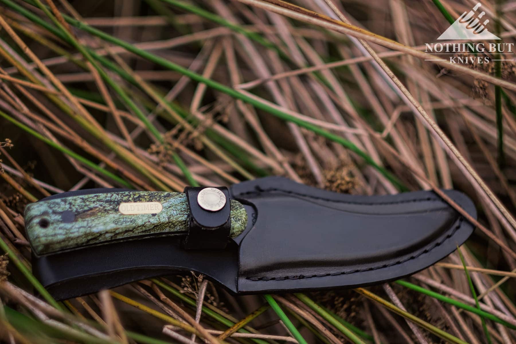 The Old Timer Sharpfinger knife inside its brown leather sheath on top of grass.