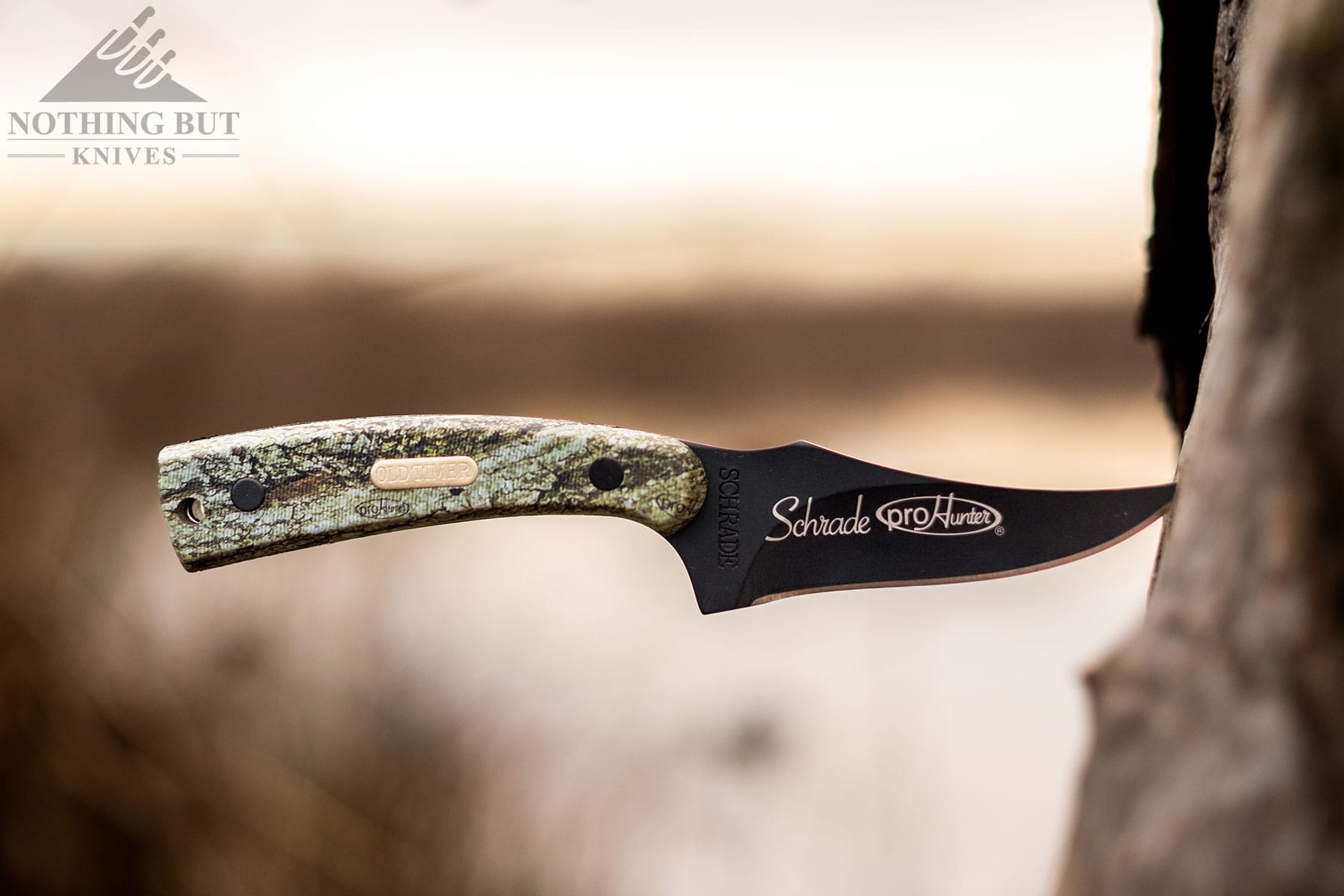 The Old Timer Sharpfinger fixed blade knife with its blade tip stuck in a tree in front of a swampy landscape.