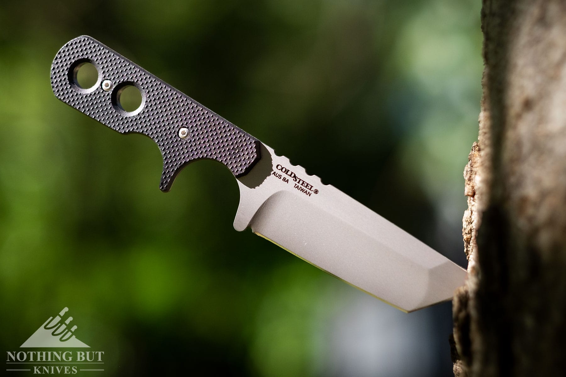 The Mini Tac knife sticking out of a tree trunk in front of a blurry forest background.