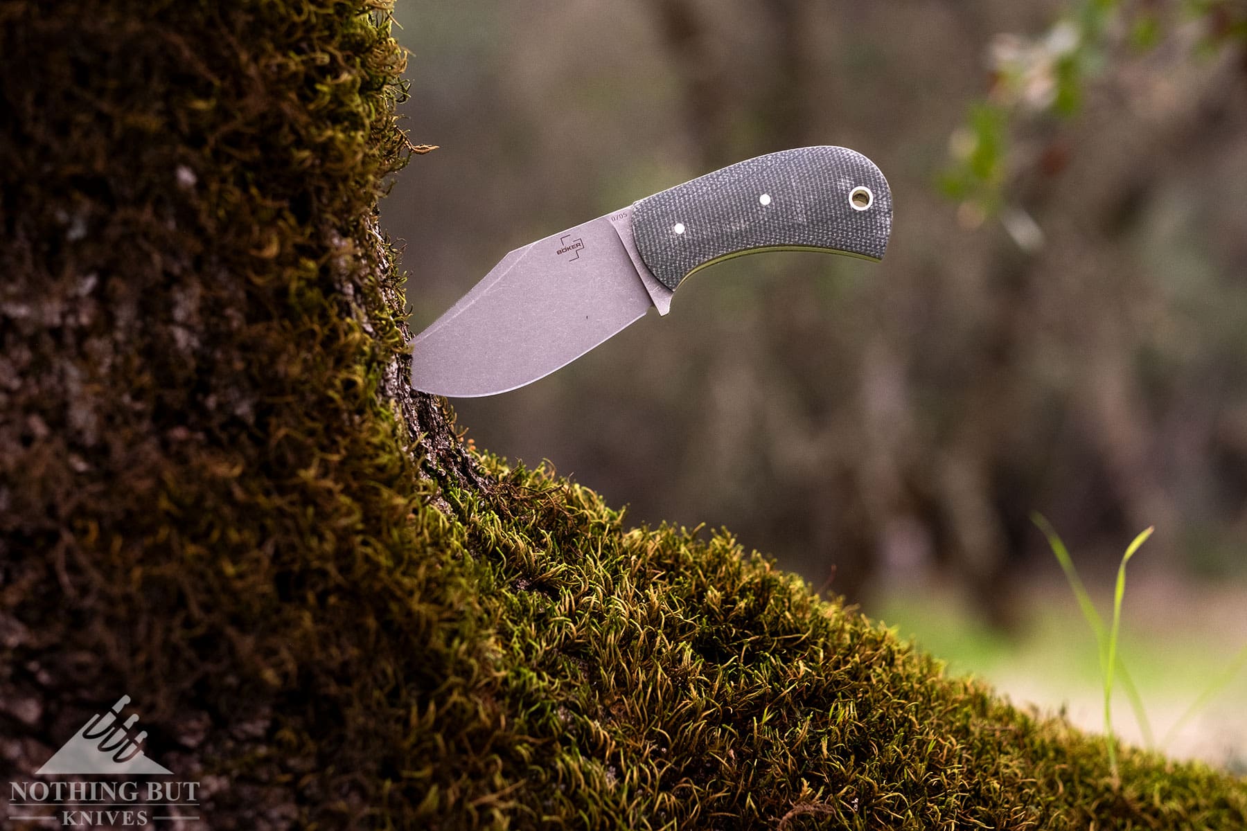 The Boker Plus Madman sticking out of a moss-covered tree branch.