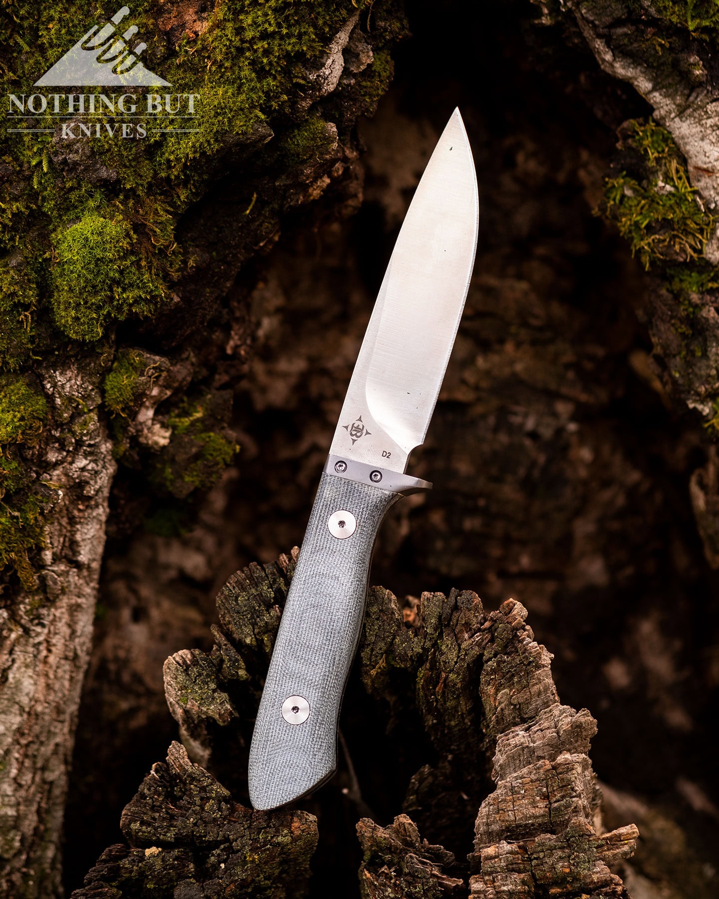 The Boker Magnum Limited Collection 2022 sitting on a mossy tree branch.