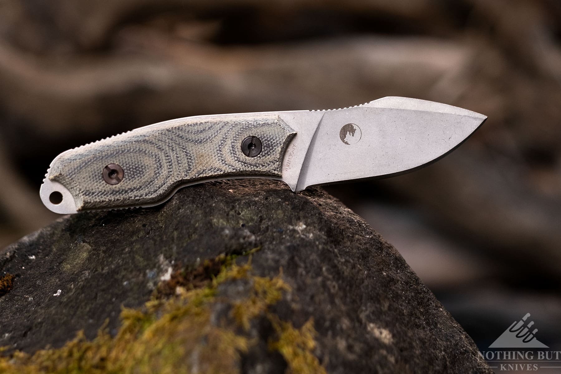 The Boker Arbolito fixed blade knife sitting on a rock in the forest.