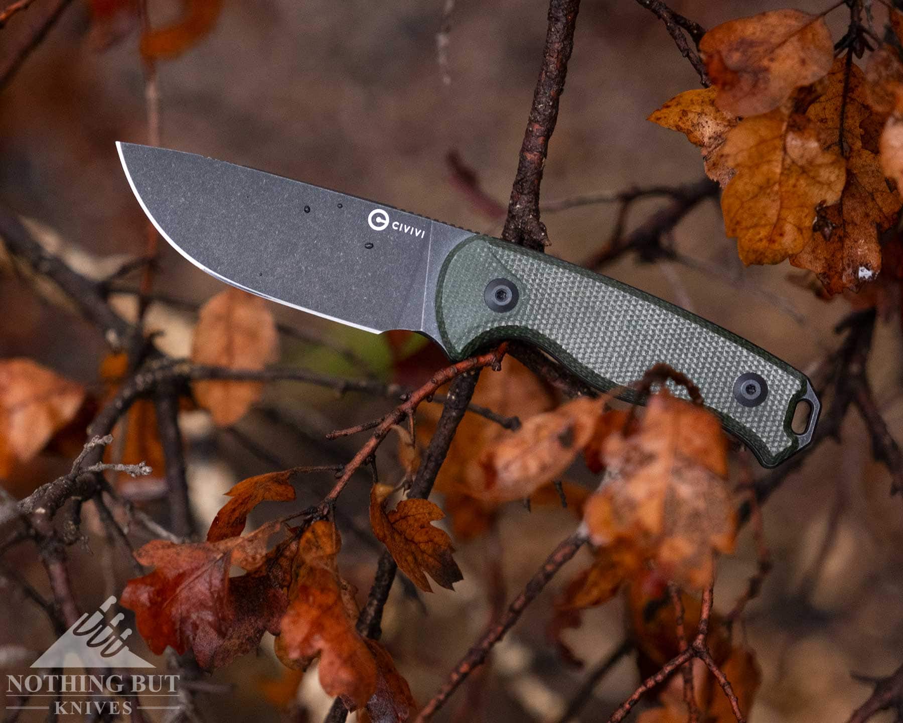 The Civivi Timberbark fixed blade knife balanced on an Oak Tree branch covered in brown leaves. 