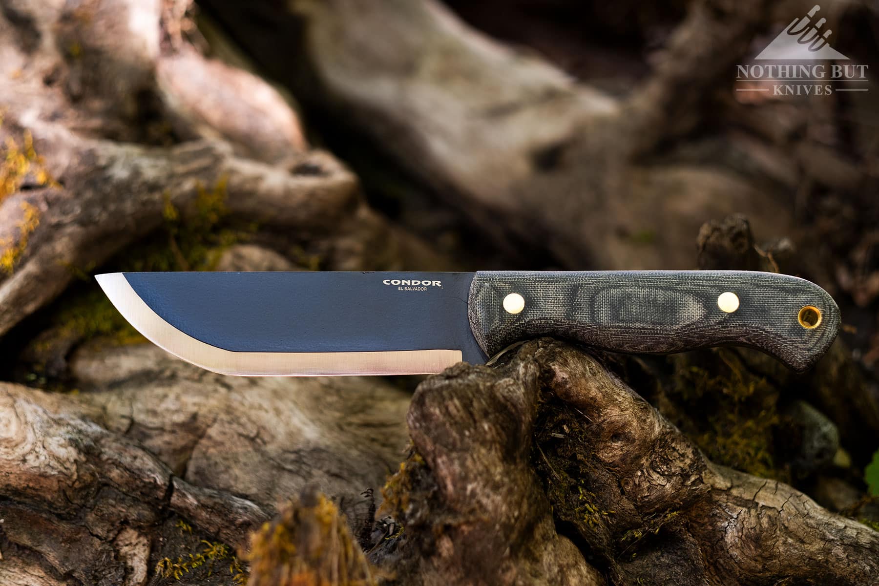 The Condor SBK survival knife on a piece of moss covered driftwood.