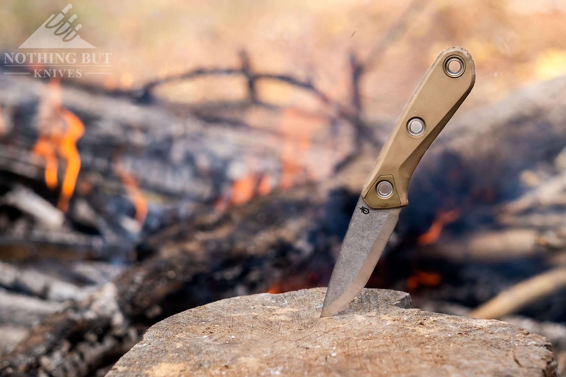 The Gerber Principle compact fixed blade knife sticking out of a tree stump in front of a campfire.
