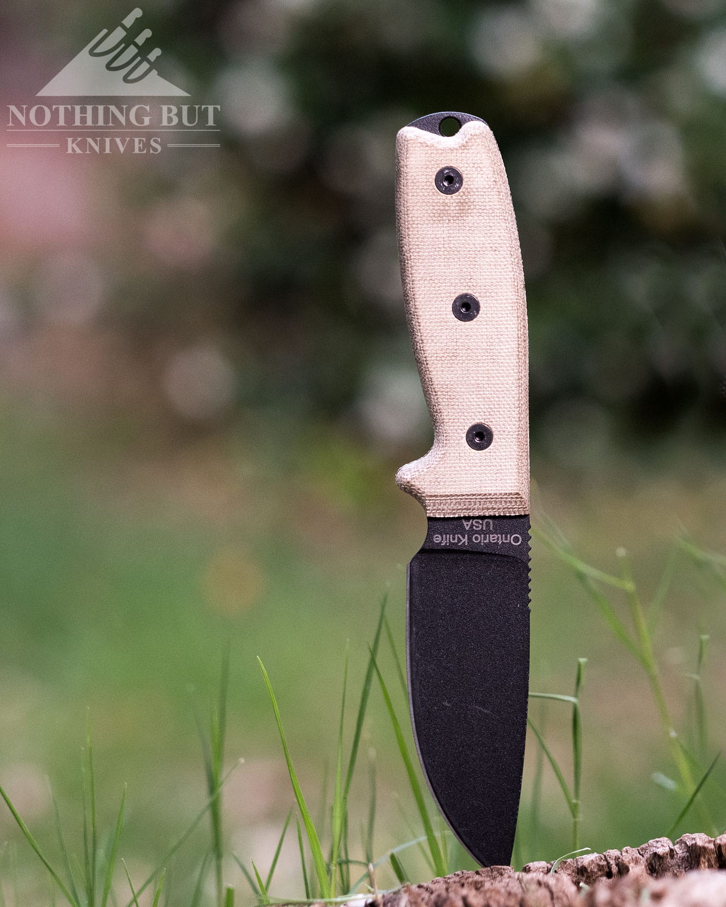The Ontario Knife Company Rat 3 sticking out of a branch in a green field.