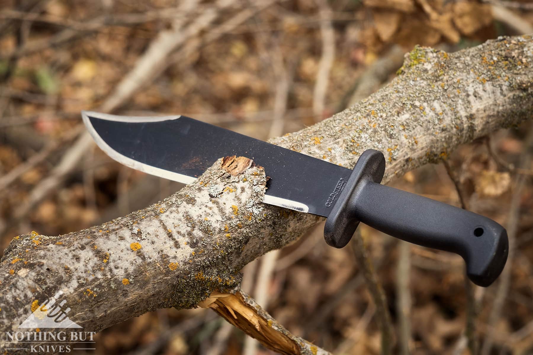 The Black Bear Bowie with its blade stuck in a fallen tree limb.