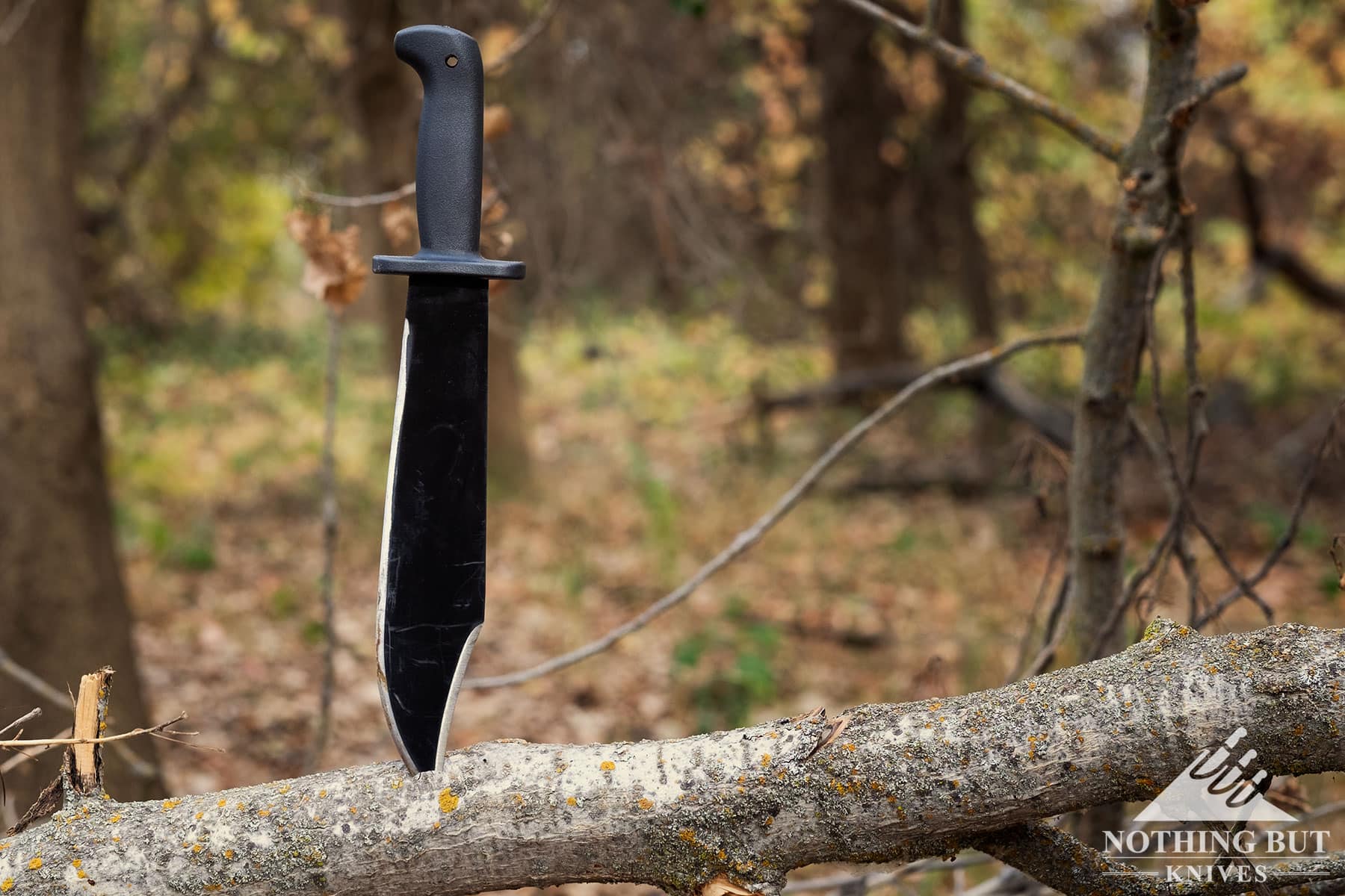 The Cold Steel Black Bear Bowie sticking out of a log in the middle of a forest.
