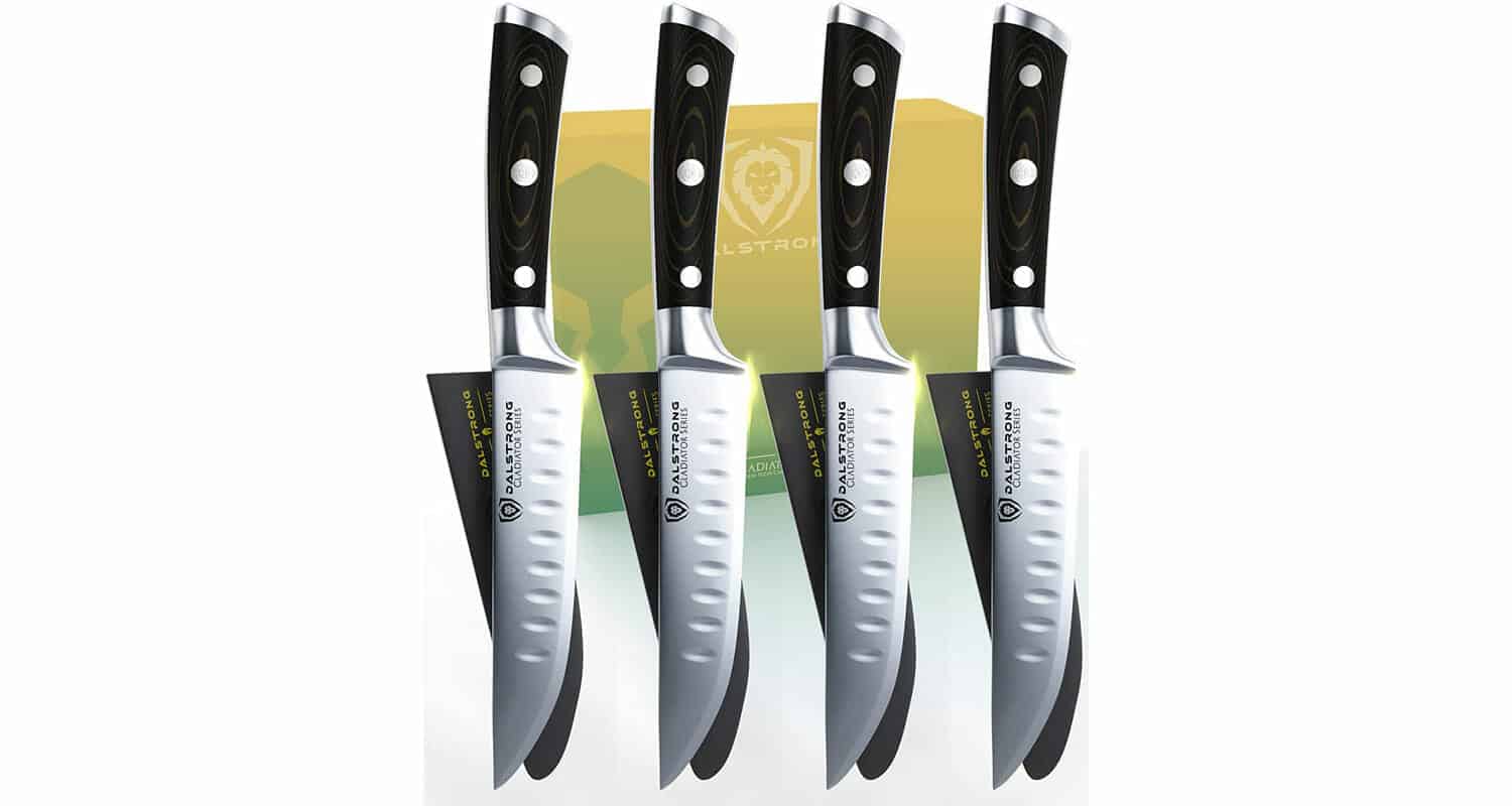 Dalstrong Large Chef Knife - Gladiator Series - German HC Steel - 10