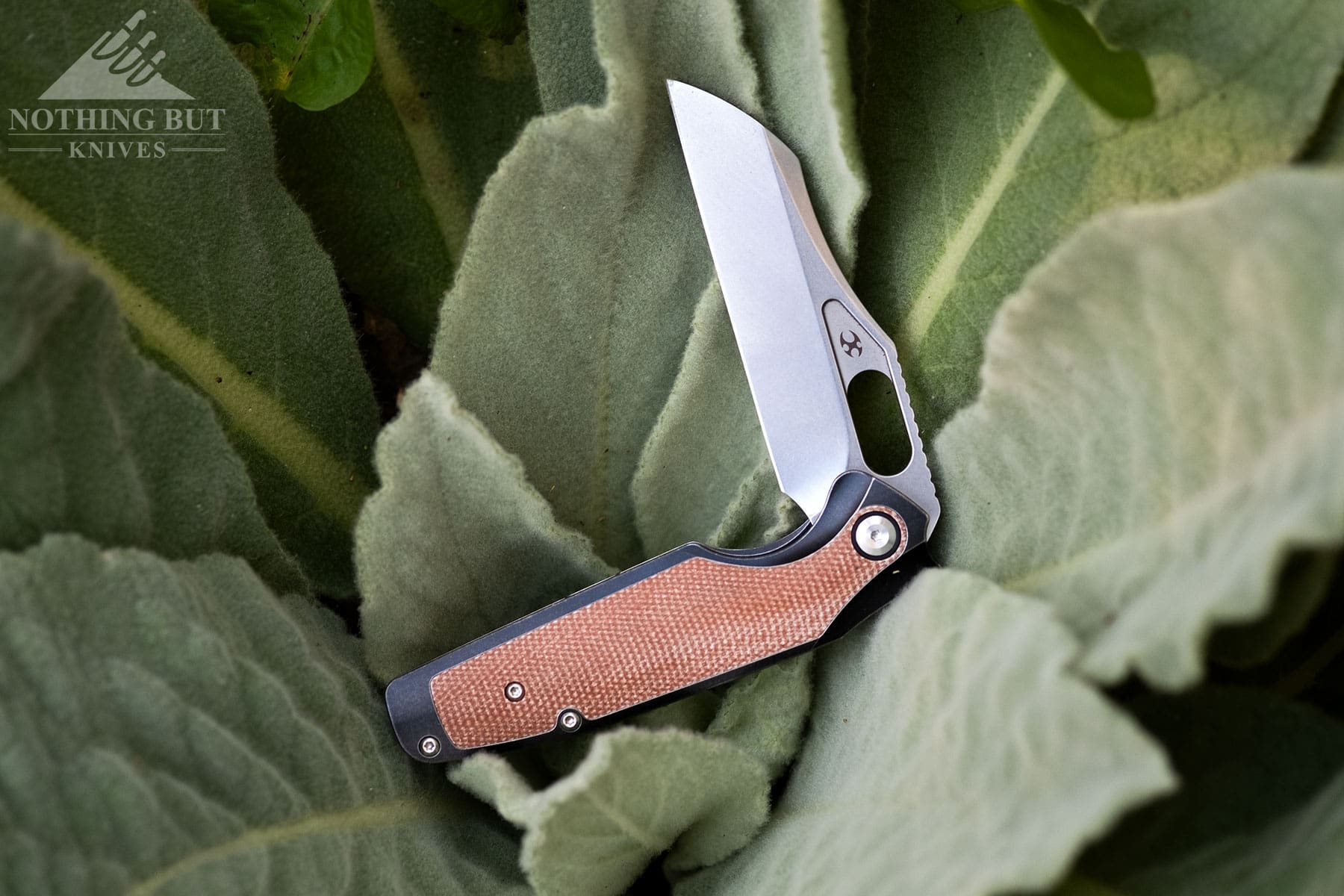 The Kansept Tuckamore Titanium knife with Micarta inlays balanced on the leaves of a plant.