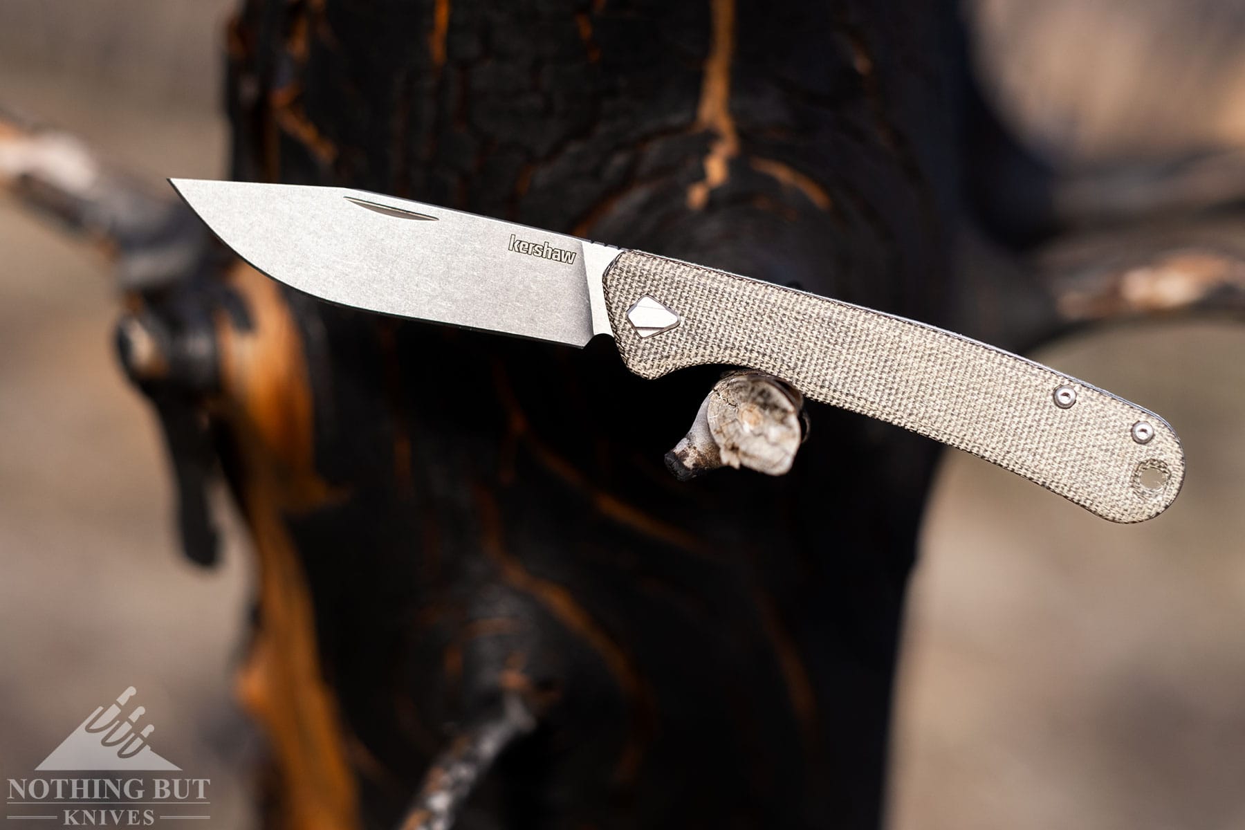 The Kershaw Federalist slip joint folding knife with its blade in the open position balanced on the branch of a tree that has been burned. 