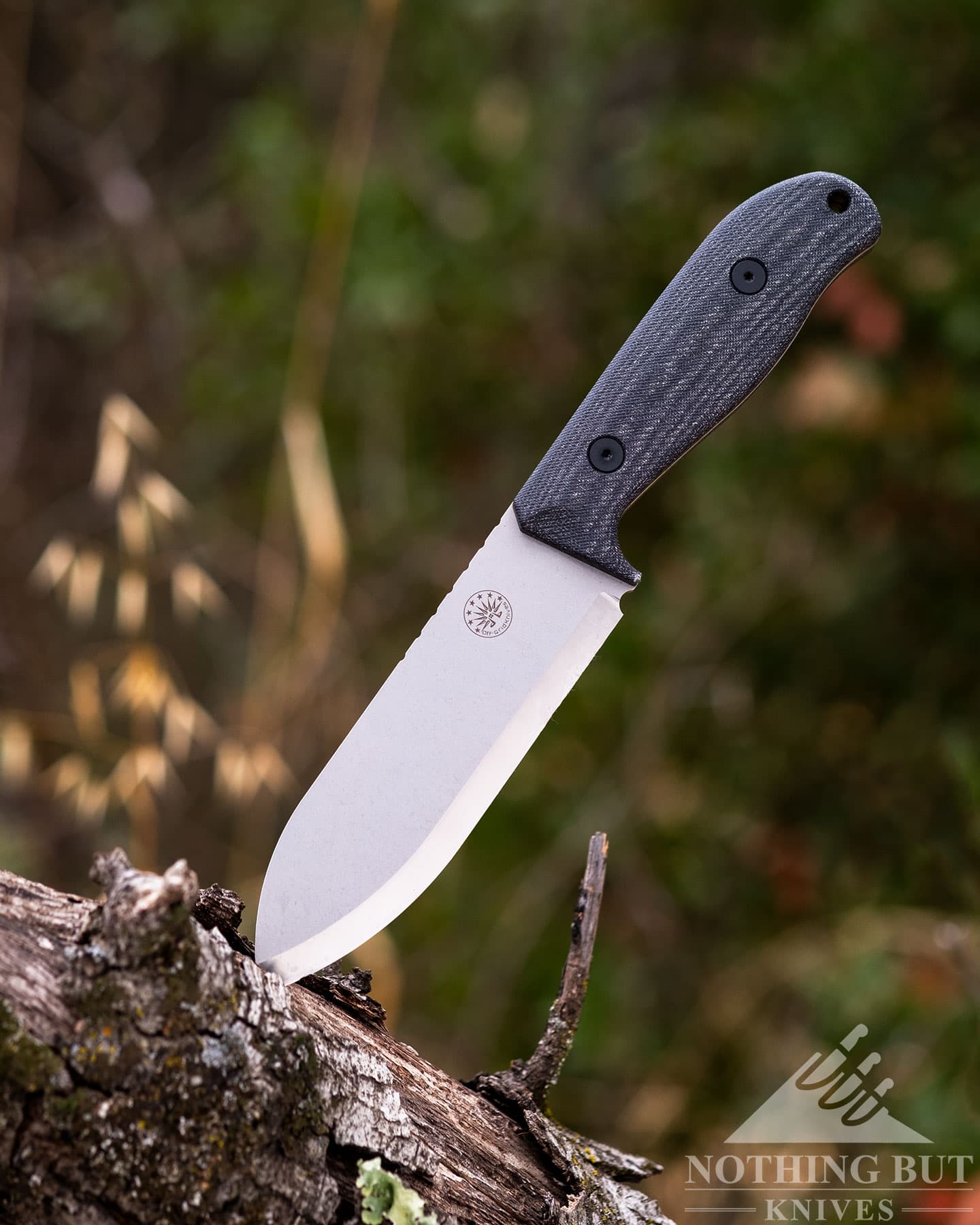 The Off-Grid Ridgeback V2 fixed blade with grey Micarta handles sticking out of a fallen tree branch in a field. 