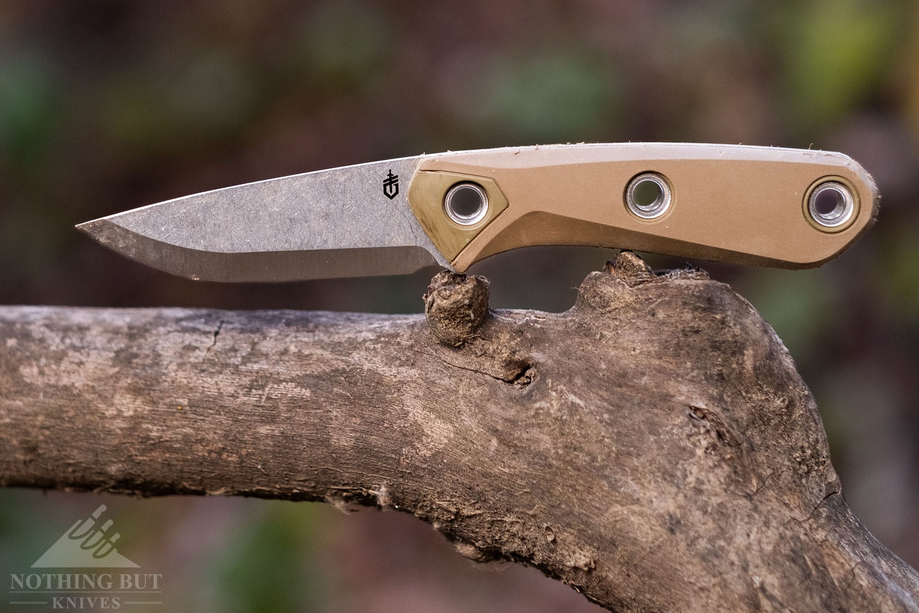 The Princple handled the bushcraft tasks we threw at it over the course of our review well, and it has solidified itself as a go-to option for anyone looking for a budget price, compact bushcraft knife.