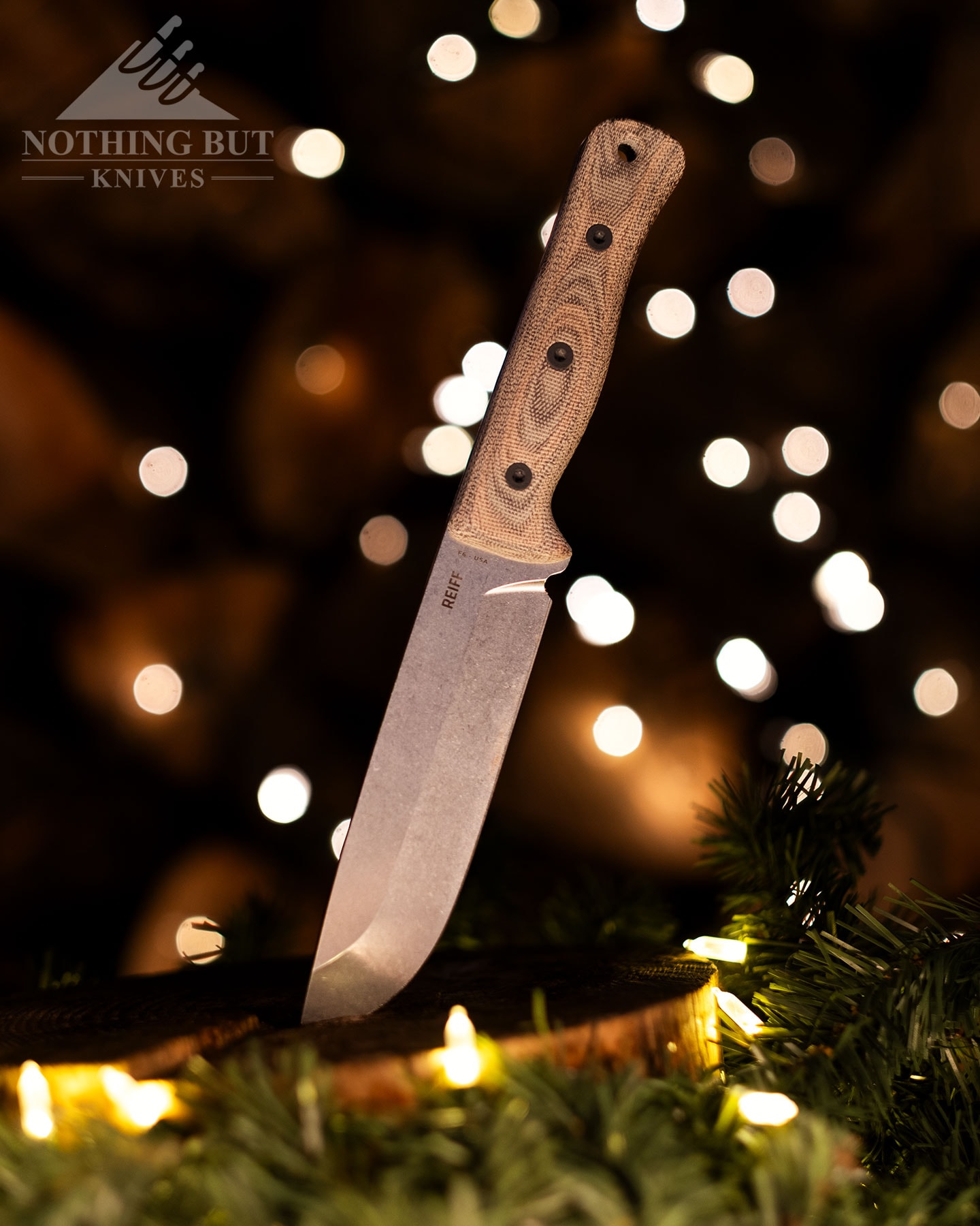 The Reiff F5 Leuko bushcraft knife with its blade sticking out of a tree stump that has been decorated for the holidays. 