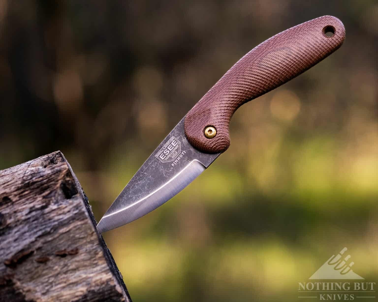 ESEE Pinhoti Review | Nothing But Knives