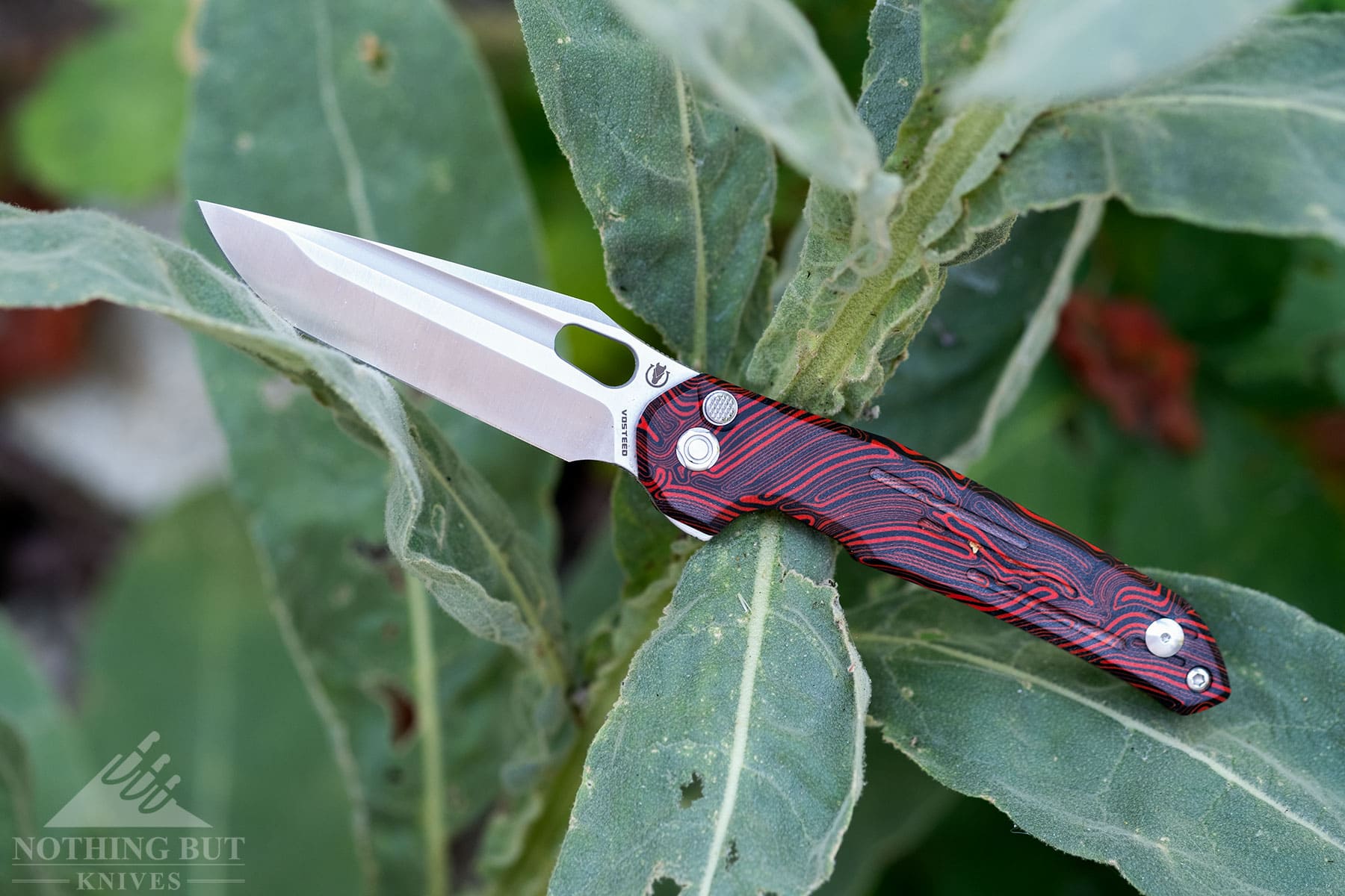 The Vosteed Thunderbird EDC knife in the open position balanced on the leaves of a large plant.