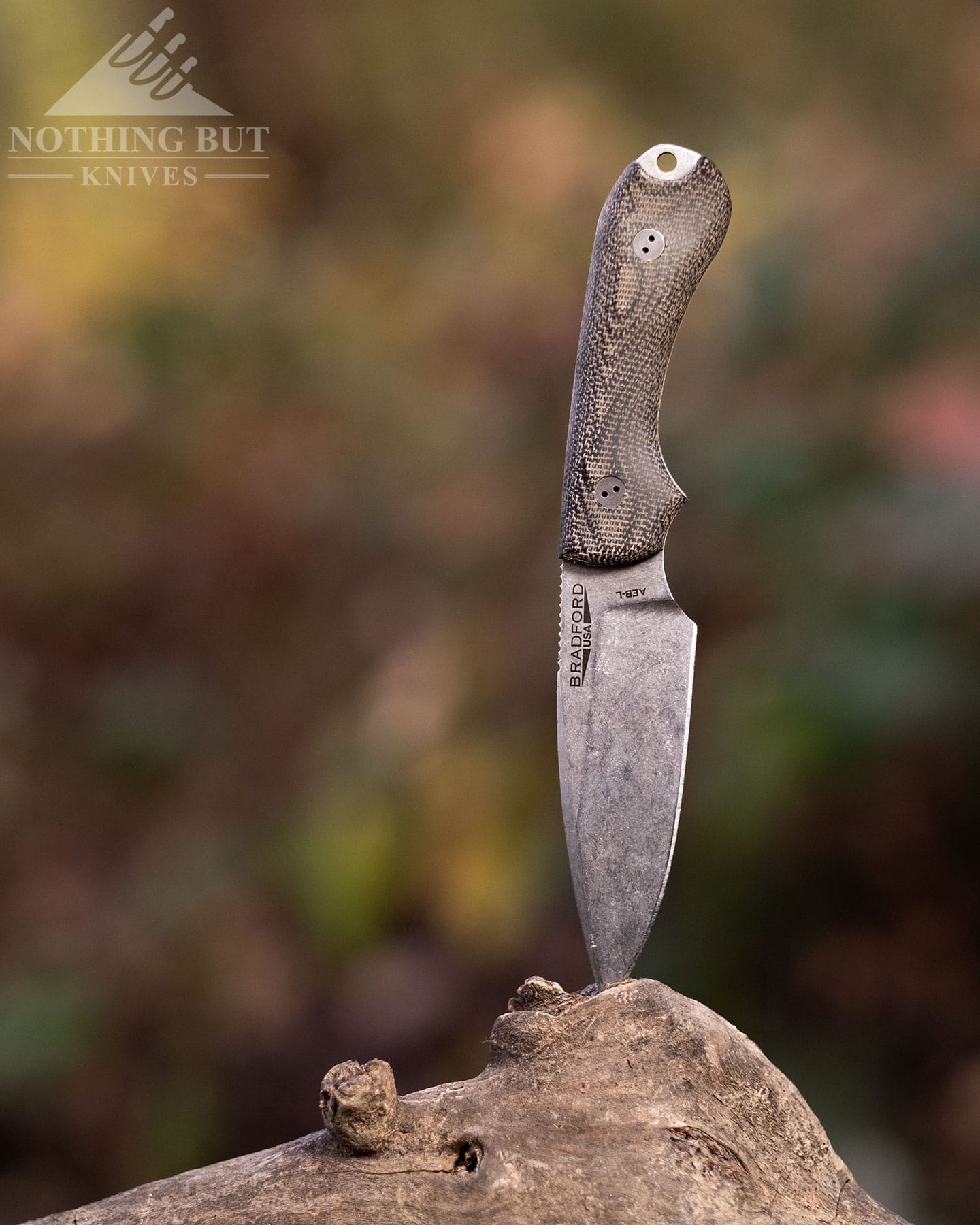 The Bradford Guardian 3 fixed blade knife with AEB-L steel sticking out of a log with a green forest in the background. 