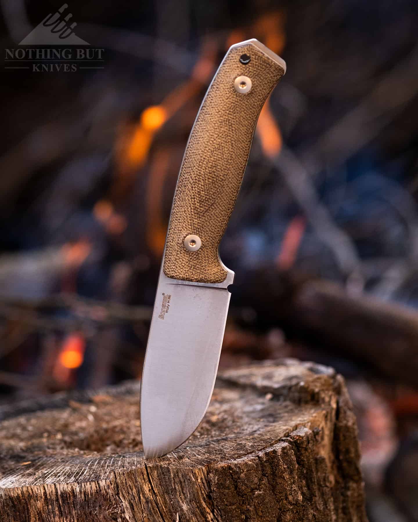https://www.nothingbutknives.com/wp-content/uploads/2023/03/Camping-with-the-LionSteel-M2M.jpg