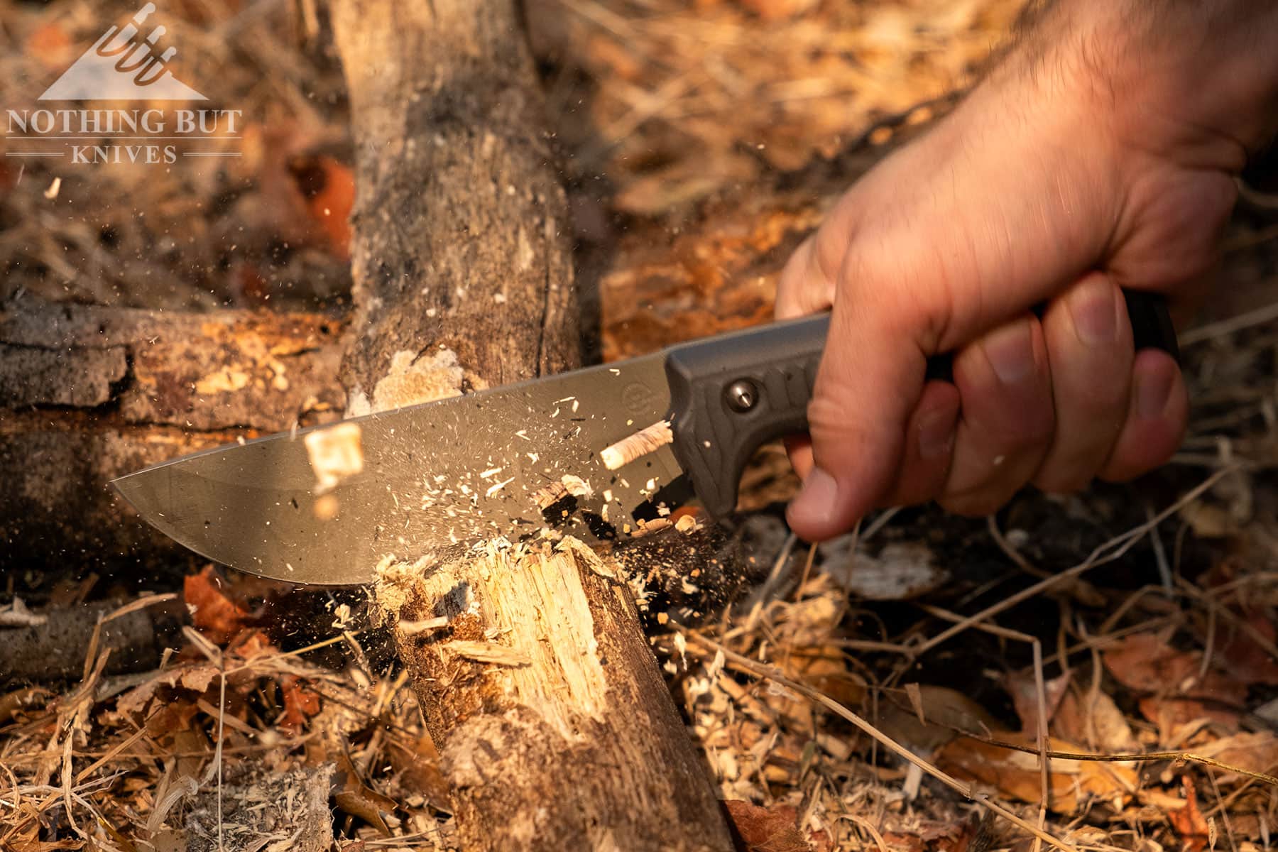 A close-up action shot of a log in a field being chopped with the Schwarz Lost Trail 5 survival knife.