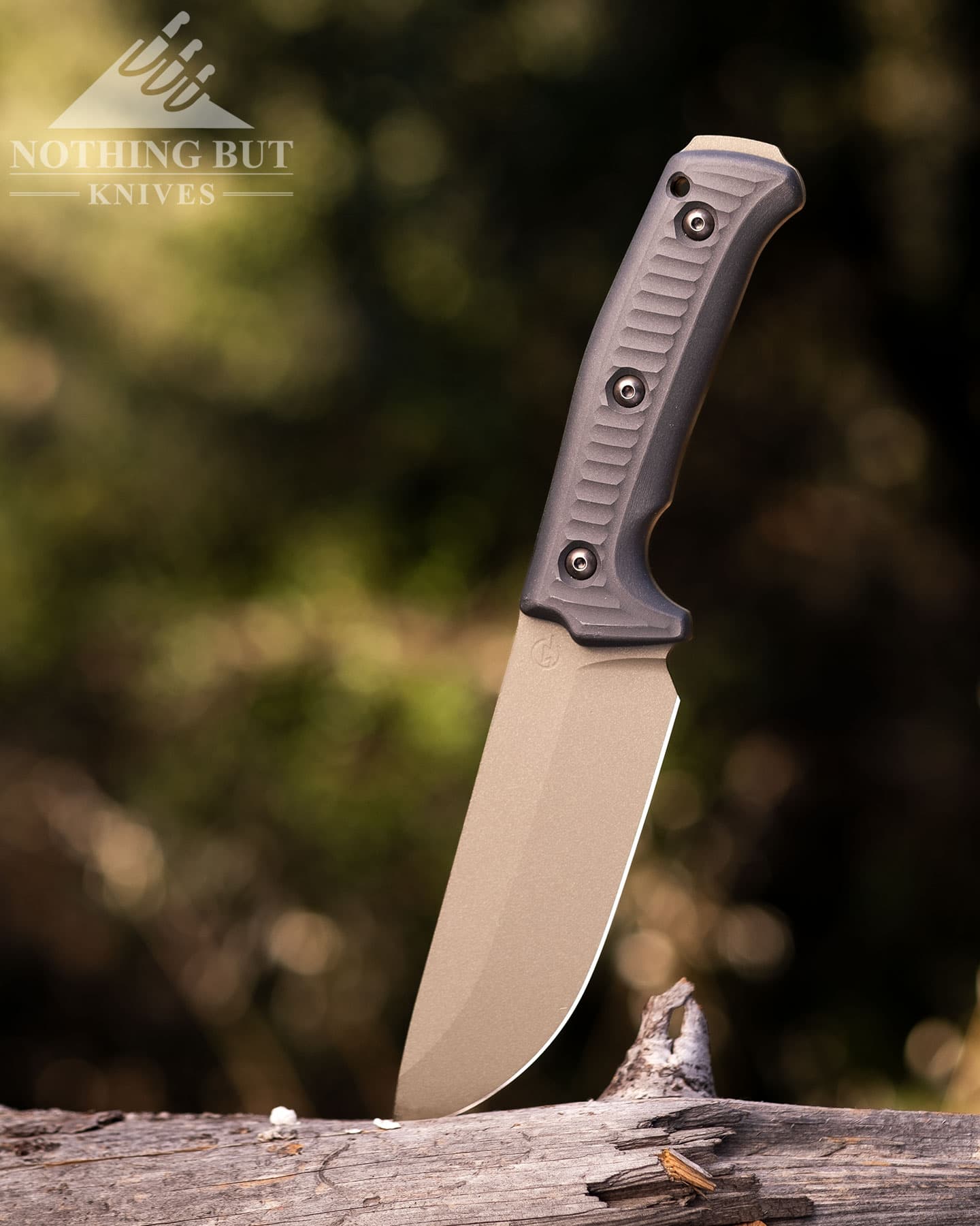 The Schwarz Knives Lost Trail 5 in the forst with the tip of its blade sticking out of a weathered log. in front of a blurry green background.