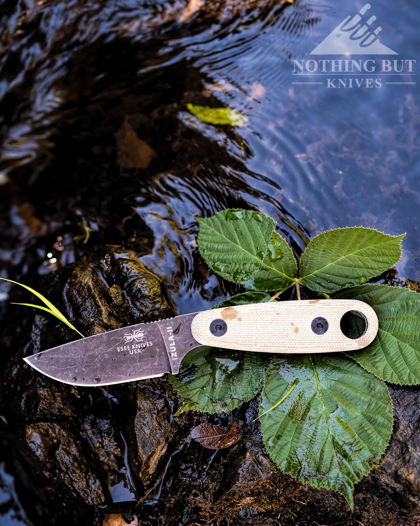 The Esee Izula 2 survival knife laying on Blackberry bush leaves above a mountain creek.