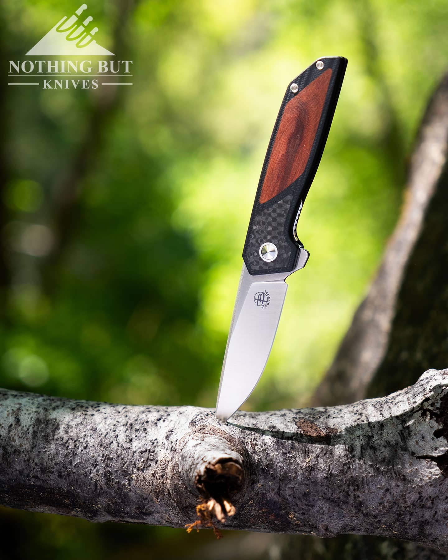 The G10 and carben fiber handle version of Begg Knives Diamici sticking out of a branch in the forest.