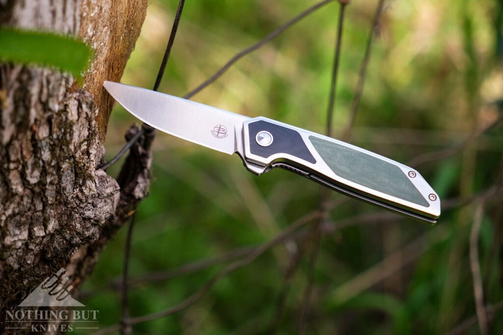 The Begg Diamici folding knife sticking out of a tree branch in a forest.