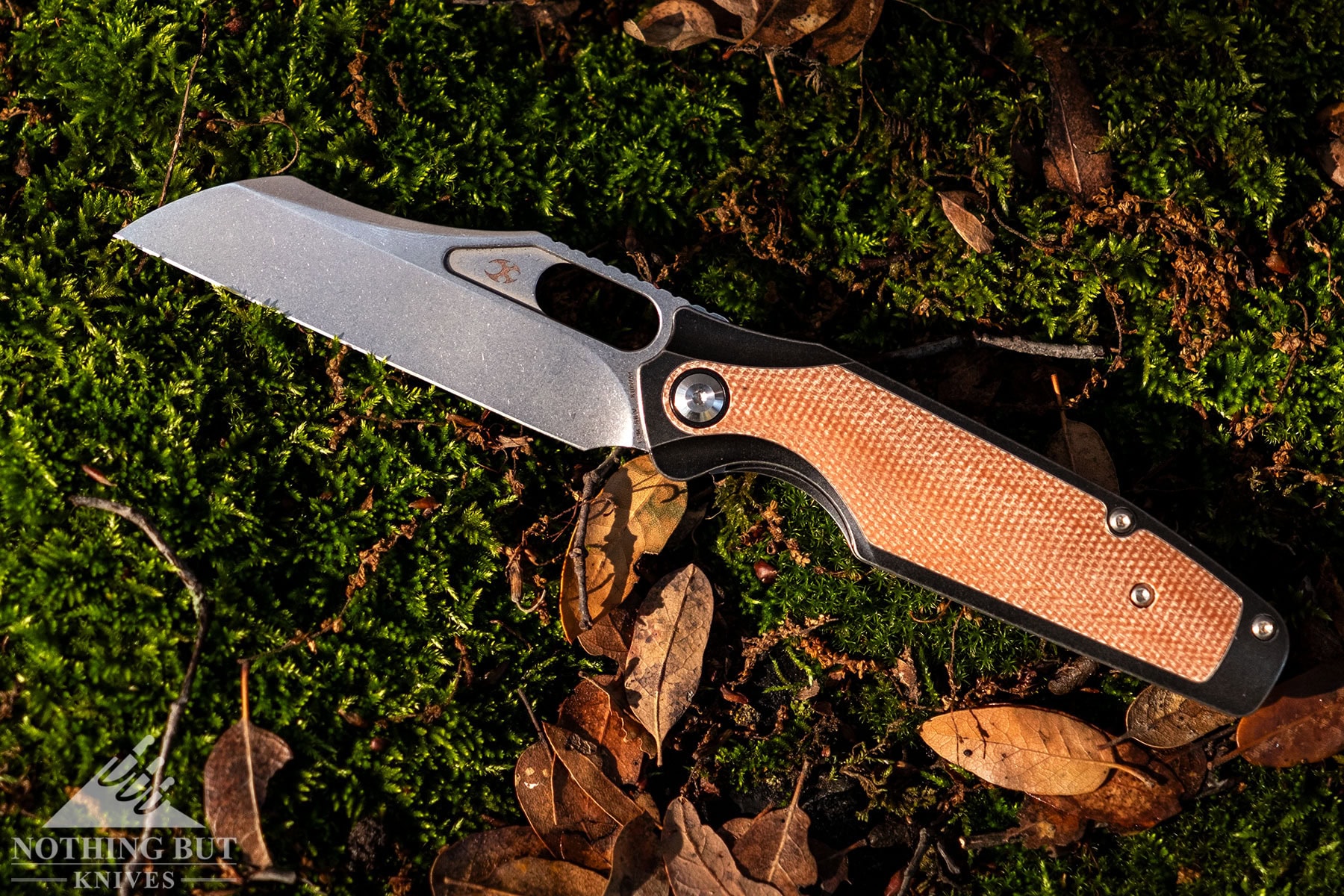 The flat grind blade and tough edge of the Tuckamore is highlighted by the sun.