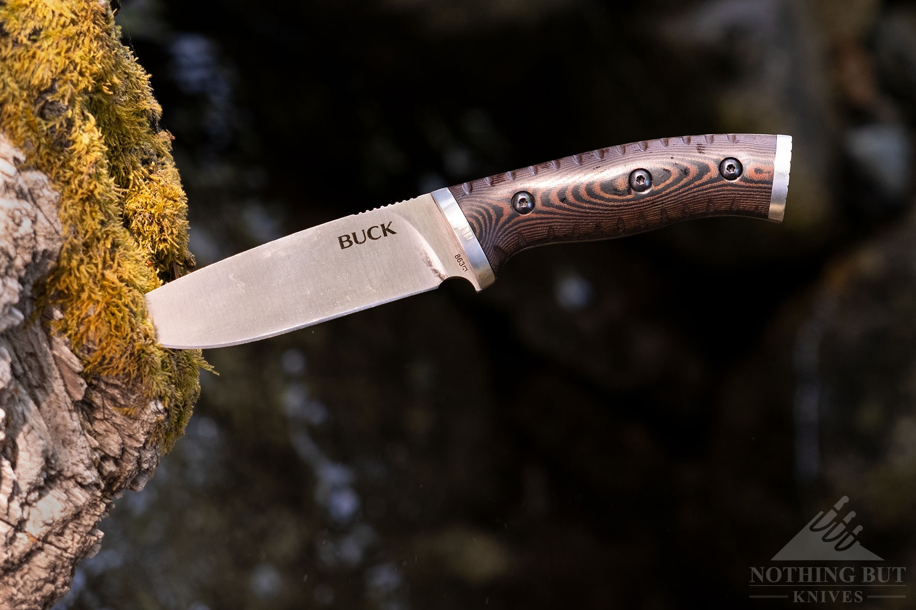 The Buck Selkirk fixed blade knife sticking out of a moss covered log outdoors.