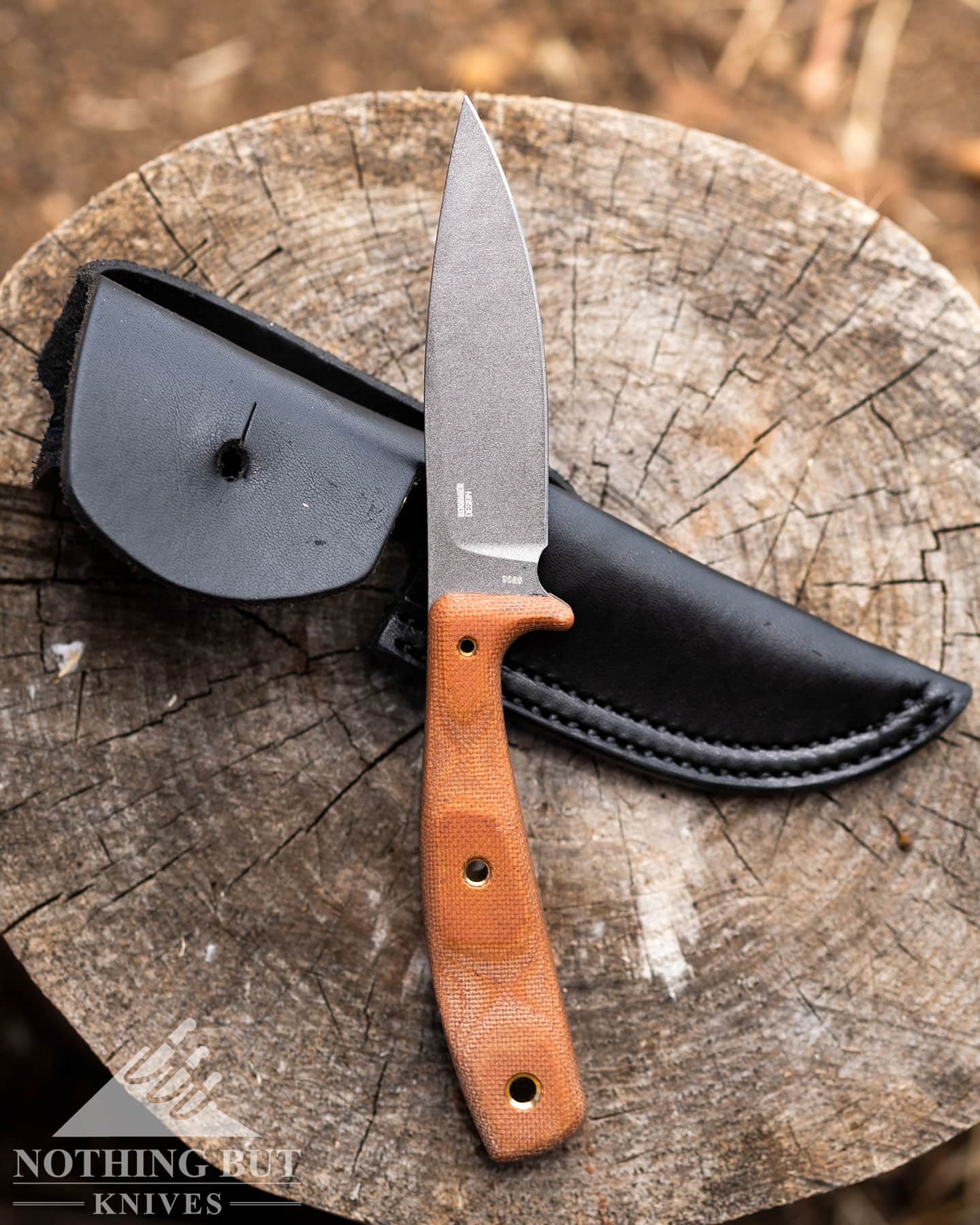 A fixed blade knife with its sheath on a tree stump.