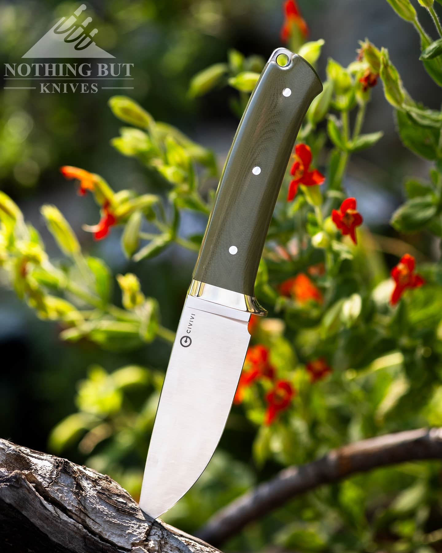 A Civivi hunting and camping knife sticking out of a log in front of green foliage and wildflowers.