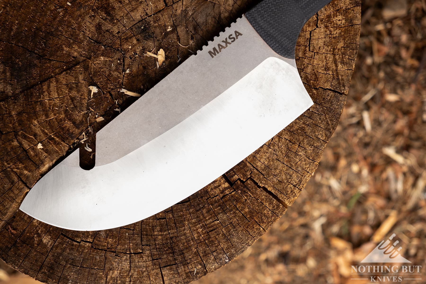 A close-up of the Maxsa AUS10 steel knife blade on top of a small tree stump.