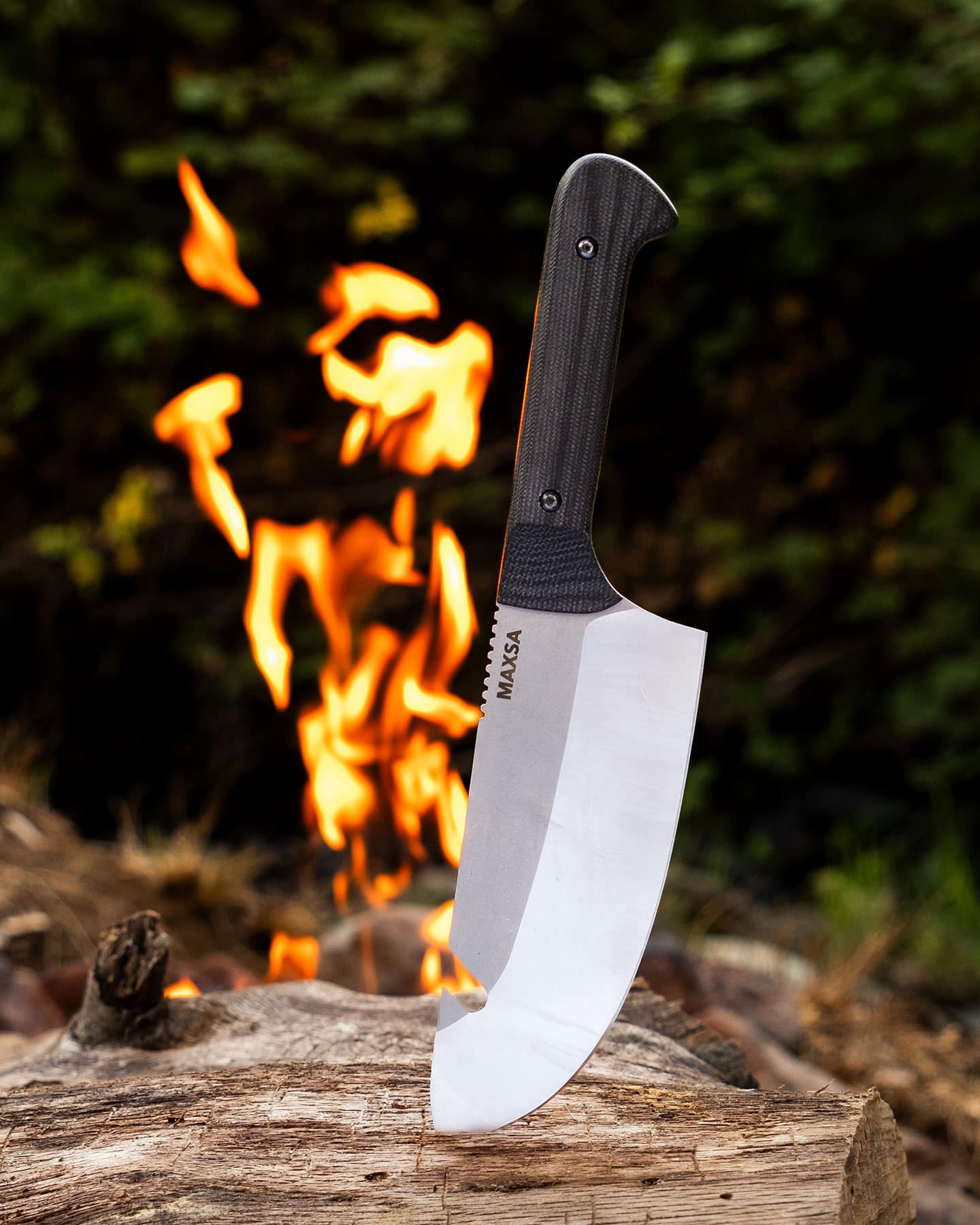 The Maxsa Blade camping chef knife sticking out of a tree stump in front of a campfire in the forest of the Sierra Nevada Mountains.