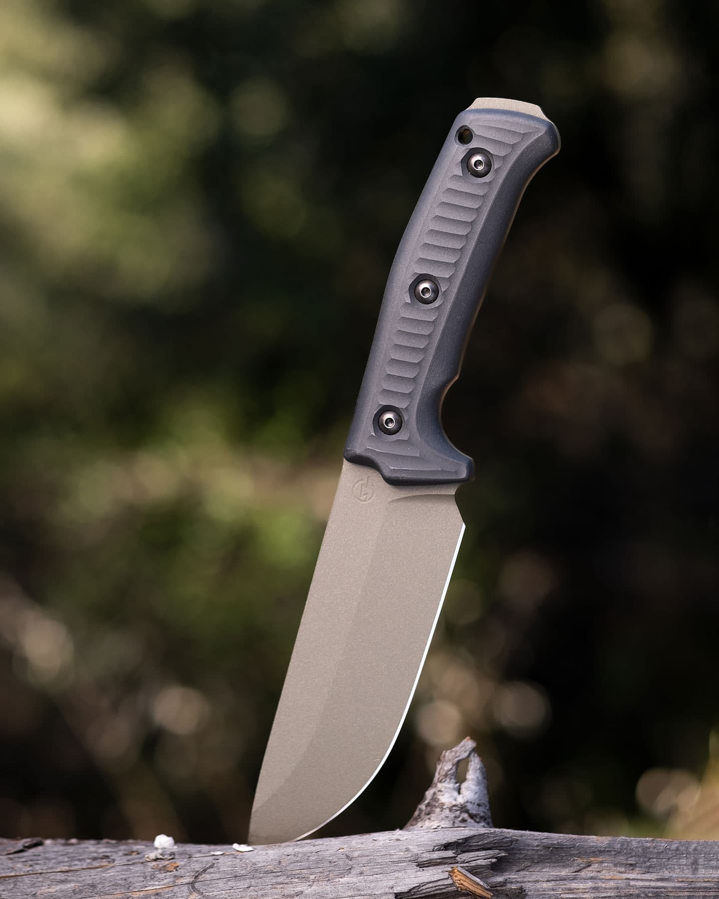 The Schwarz Lost Trail 5 camp knife with its blade sticking out of a log in the forest.