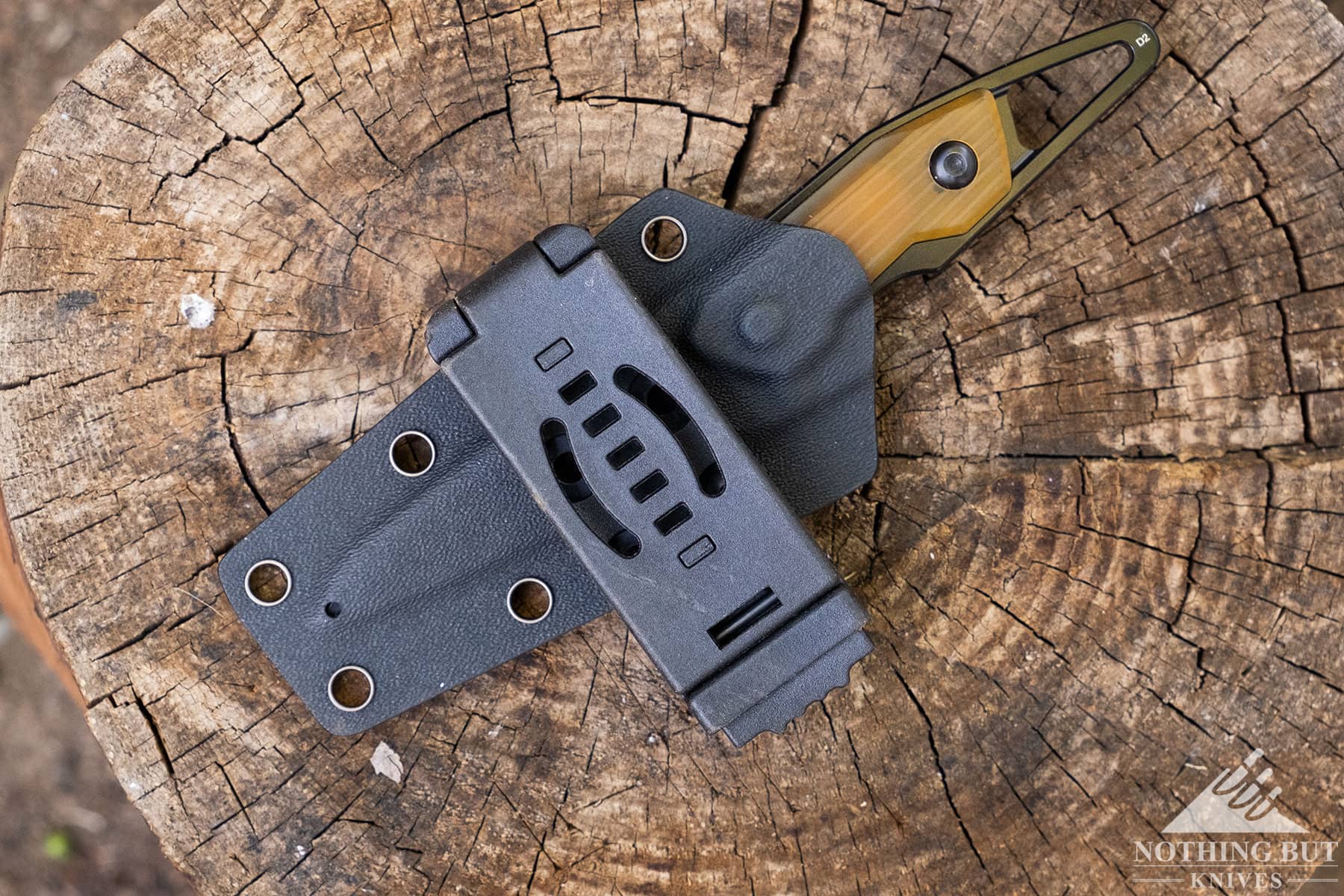 An overhead view of a Kizer Kydex sheath with a button lock attachment mechanism on a tree stump. 