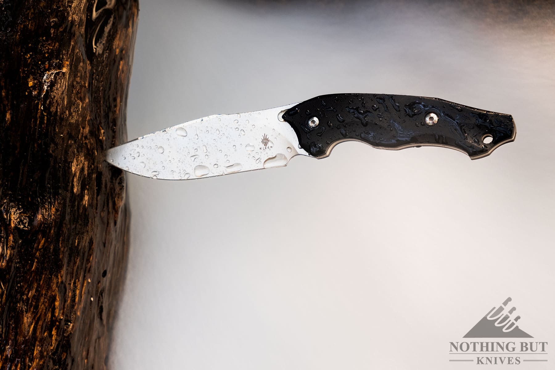 The Kizer Magara sticking out of a log in a mountain creek. 