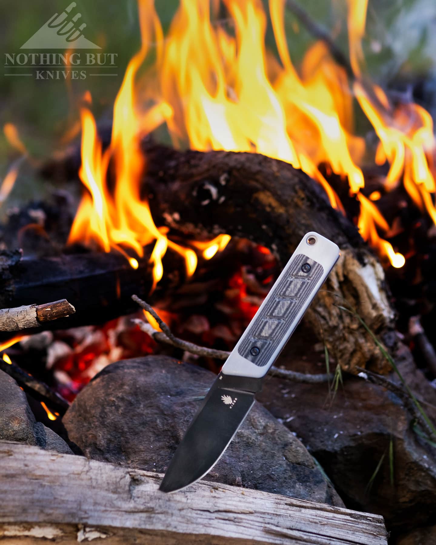 The Kizer Smolt EDC fixed blade sticking out of a piece of firewood in front of a campfire in the forest. 