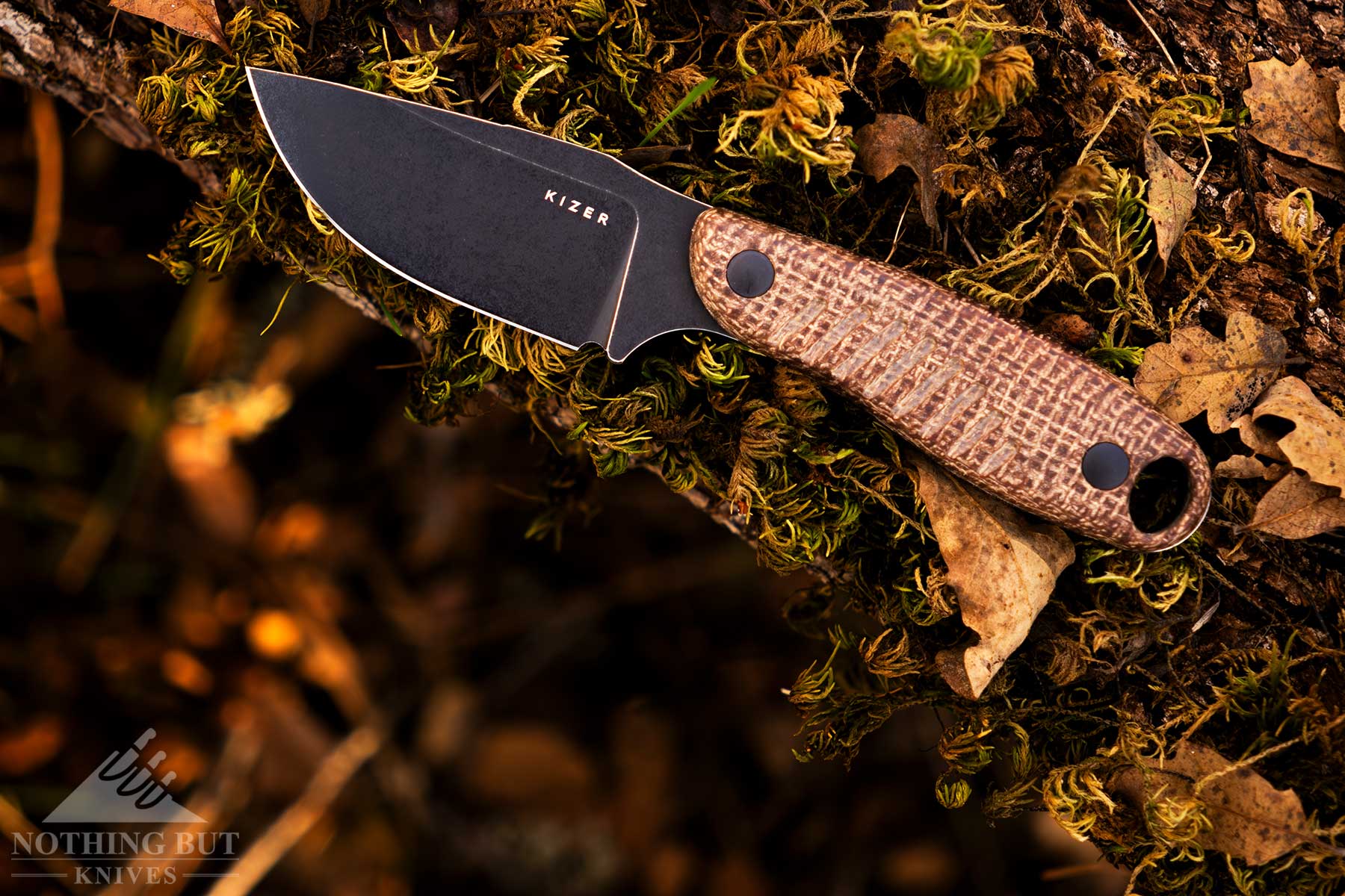 An overhead view of the Kizer Hare fixed blade camping knife on top of a moss-covered log in a forest.