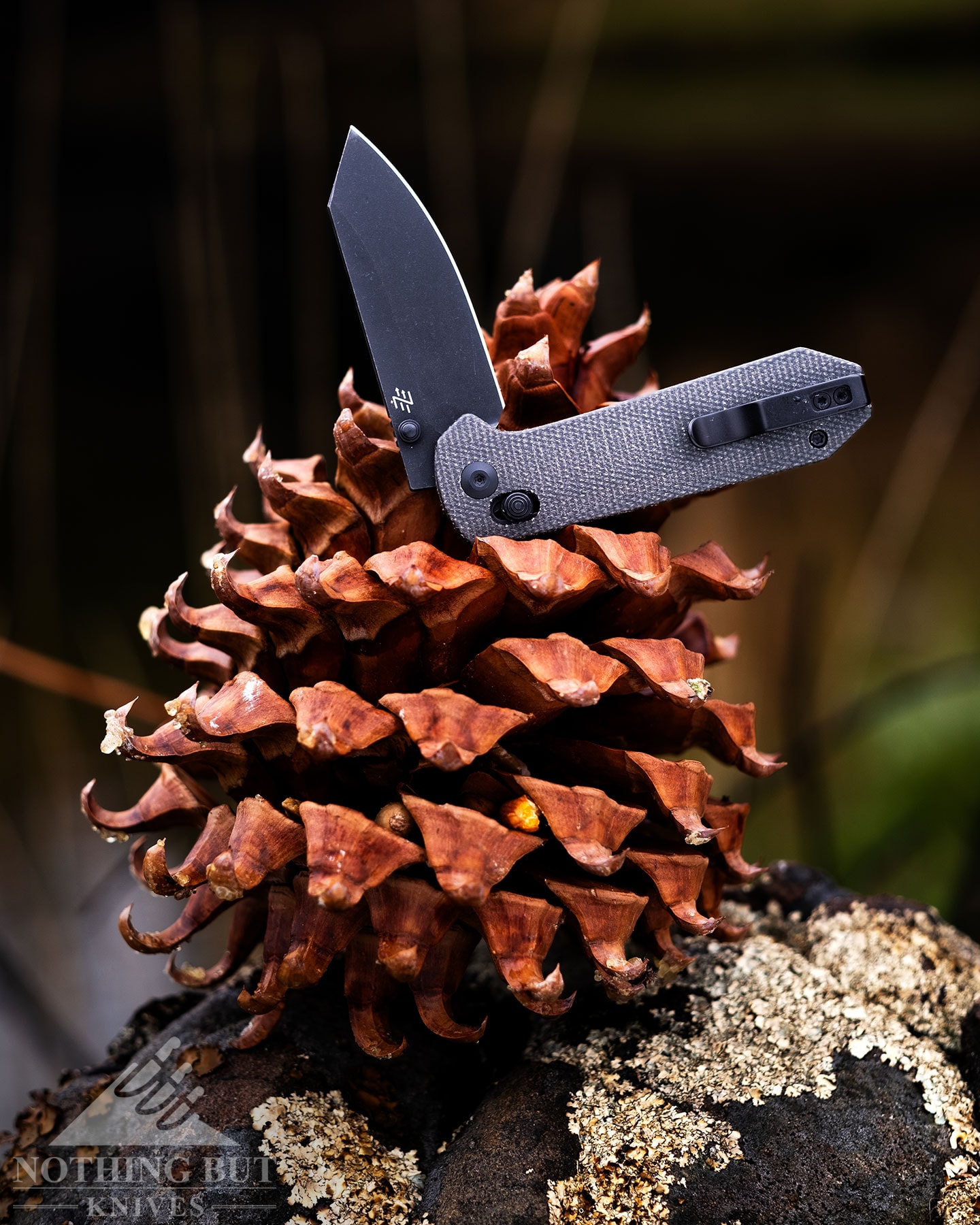 The Civivi Yonder with its blade in the have open positioned balanced on top of a pinecone next to a river. 