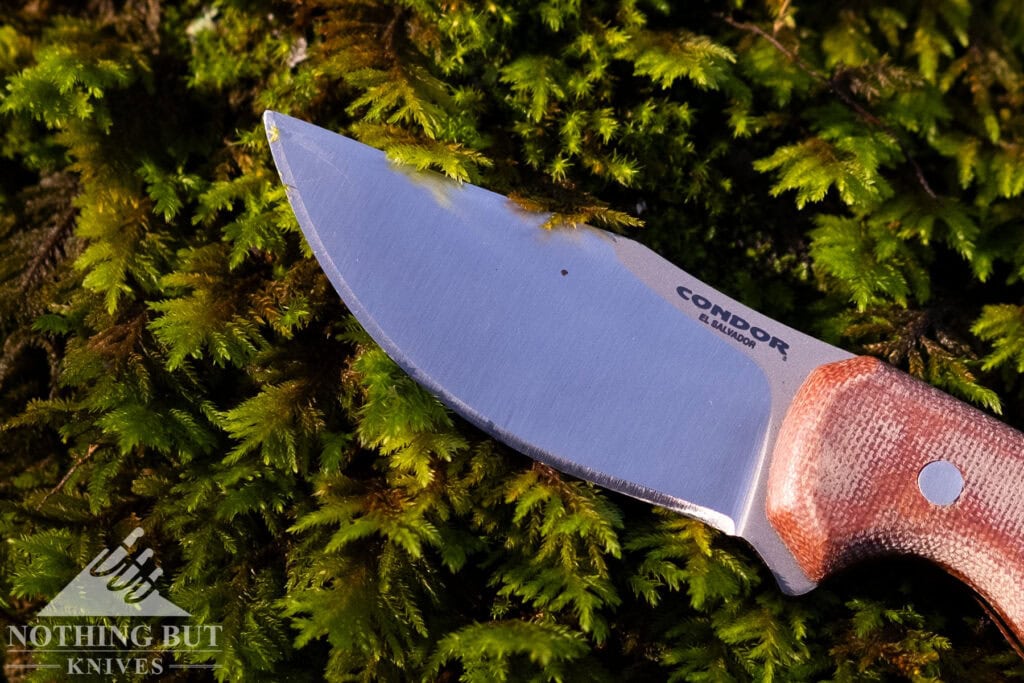 An overhead view of the Mountaineer Trail Wingman's 14C26N steel blade on top of a moss covered rock. 