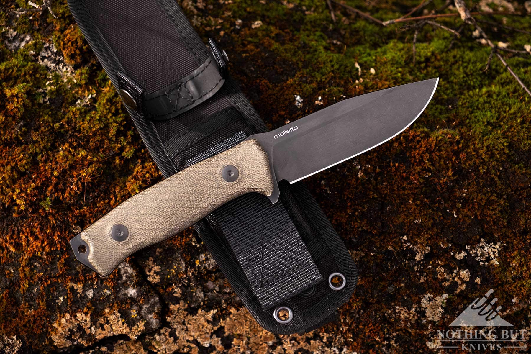 An overhead view of the LionSteel M5 survival knife crossed over its cordura sheath on a large rock.