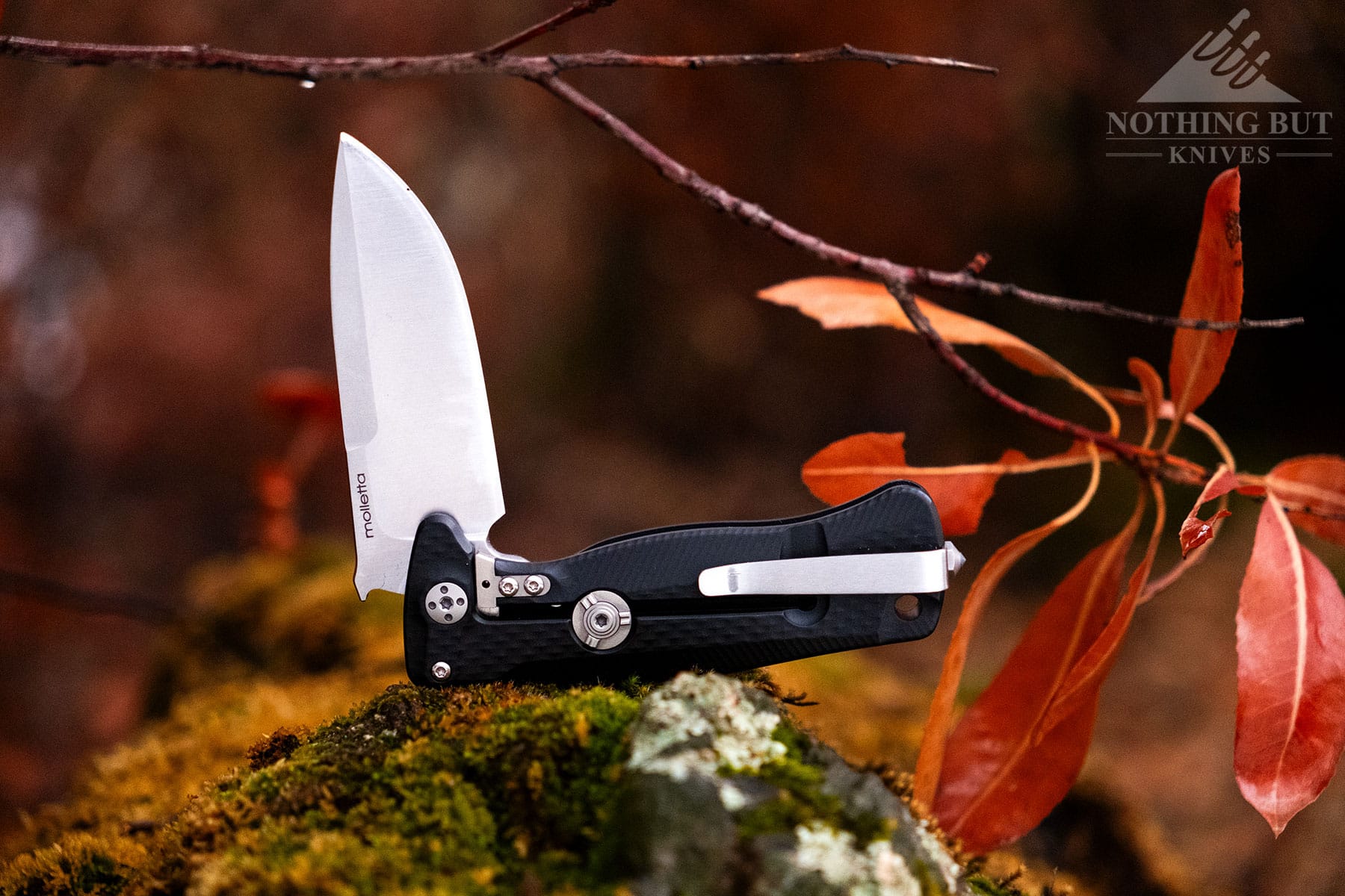 The LionSteel EDC knife with its blade in the half open position sitting on top of a rock in a forest. 