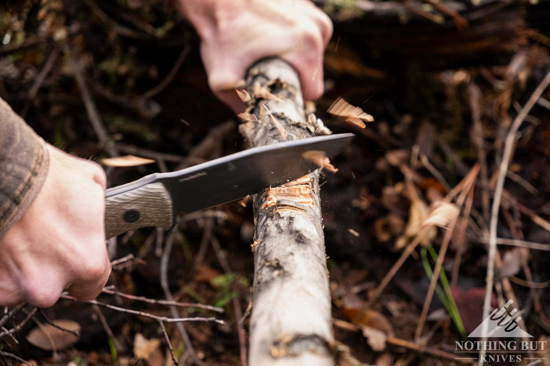 An overhead view of the LionSteel M5 survival knife being used to chop a tree branch on the forest floor. 