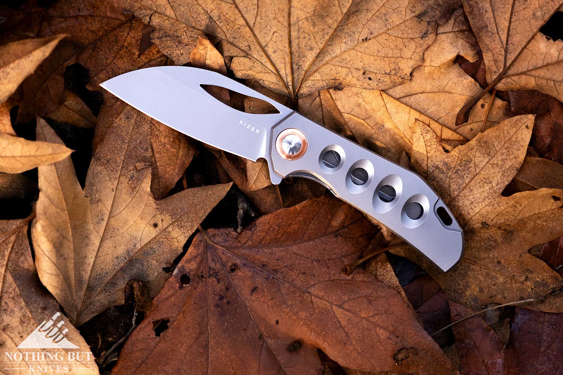 An overhead view of the Kizer Hawk High-end pocket knife on top of a pile of leaves.