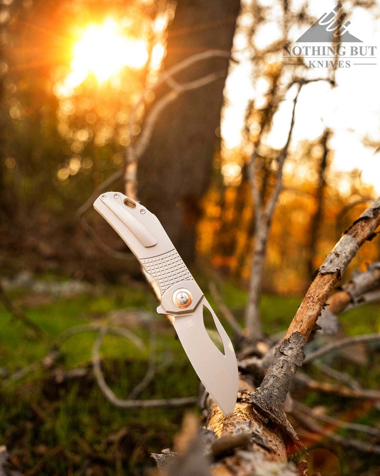 A premium Kizer folding knife sticking out of a log in the forest at sunset. 